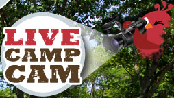 Live Camp Cam