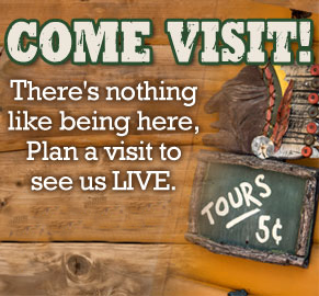 Come Visit